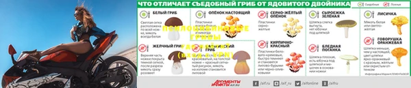 трава Аркадак